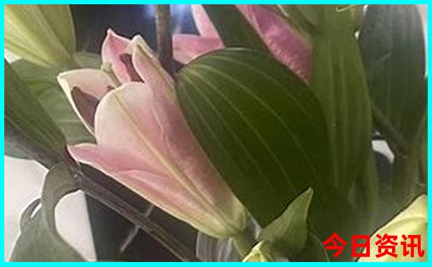 恩施附近有什么好玩的地方